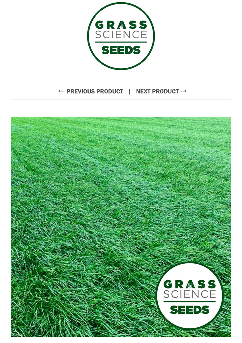 GSS Endurance – Grass Science Seeds
