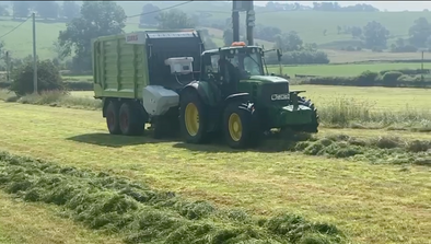 How to Interpret Silage Analysis