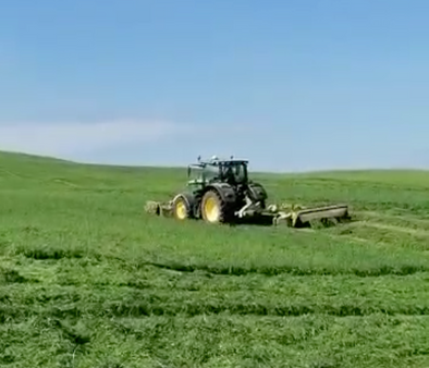 Silage Time in the Field