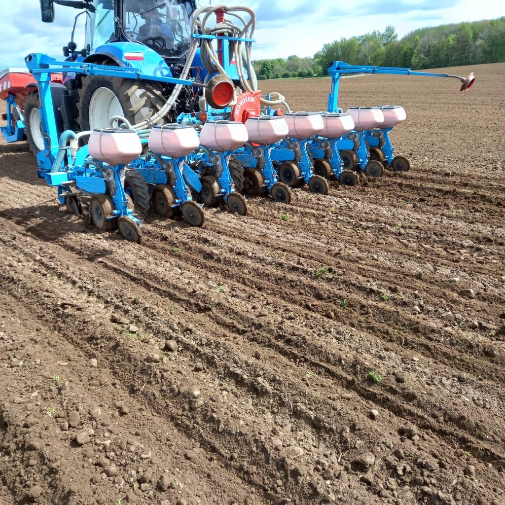 When Should I Reseed? – Grass Science Seeds