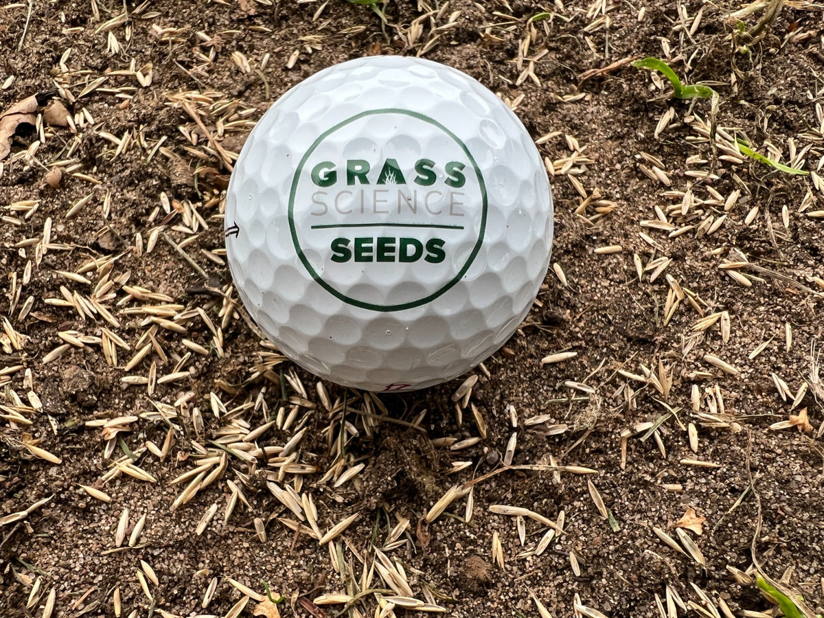 How to Overseed a Golf Green on Sandy Soils in the UK Grass Science Seeds