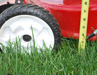 Make the Cut with a Well-Maintained Garden Lawn Mower
