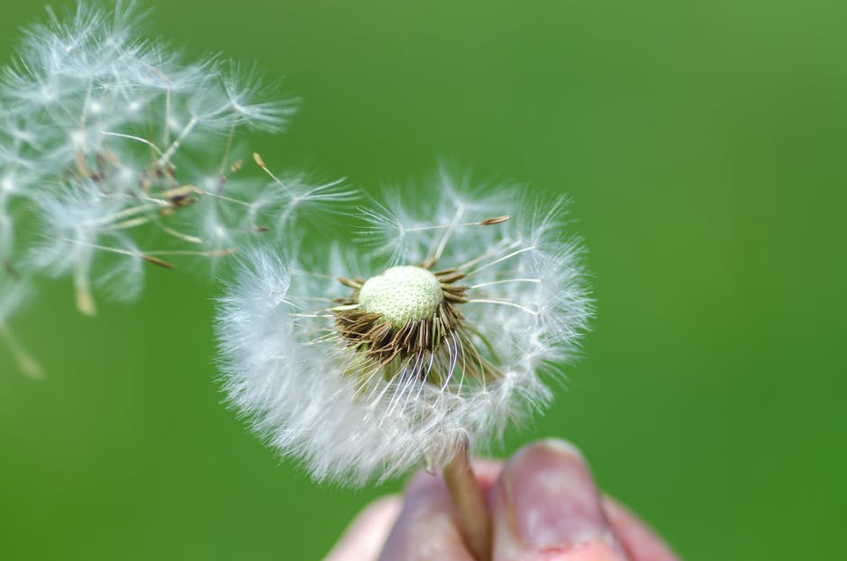 Is a Calm Down Corner Better than a Time Out? - Dandelion Seeds