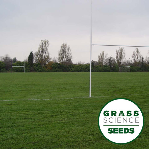 GSS CR GOLD STAR RUGBY & FOOTBALL (Creeping Rye Mix)