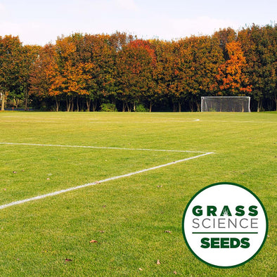 GSS GOLD STAR SPORTS PITCH