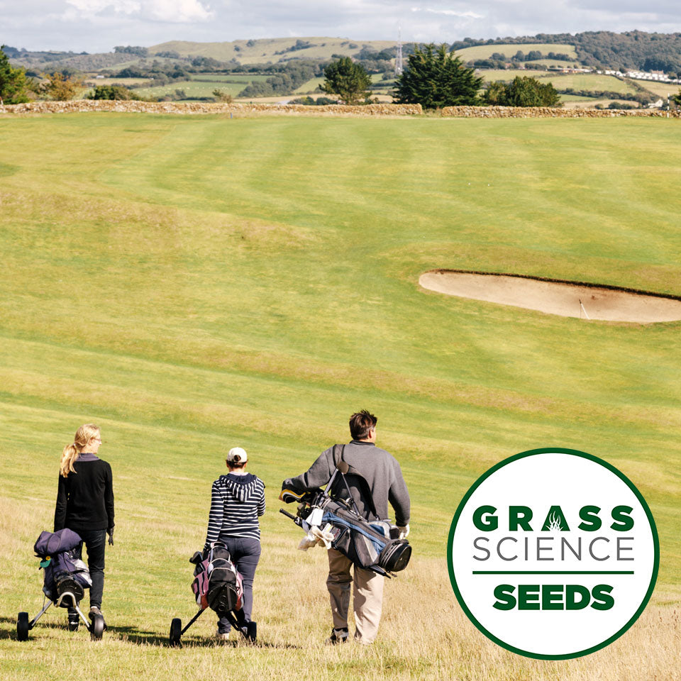 Grass Science GSS SUPER DROUGHT FAIRWAYS – Grass Science Seeds