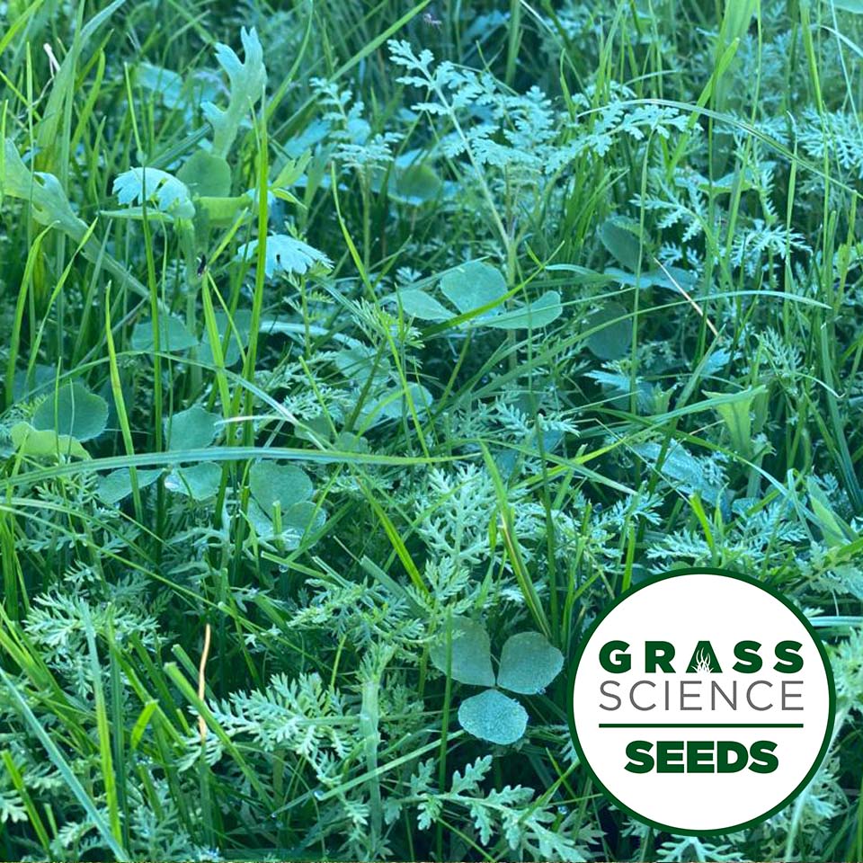 Grass Science Golf Grass Seed - GSS BESPOKE MIXTURE – Grass Science Seeds