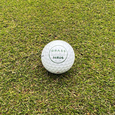 GSS PRIME BENT/CHEWINGS MIX GREENS