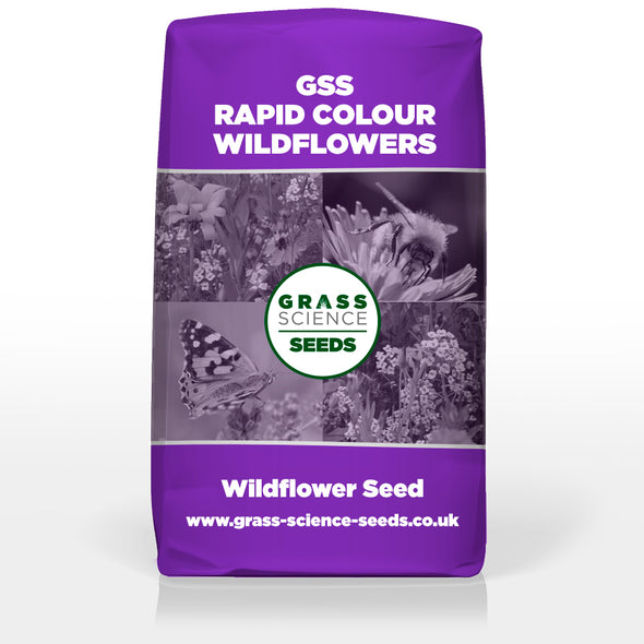 GSS RAPID COLOUR WILDFLOWERS