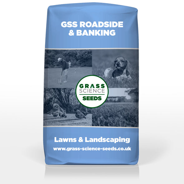 GSS ROADSIDE & BANKING